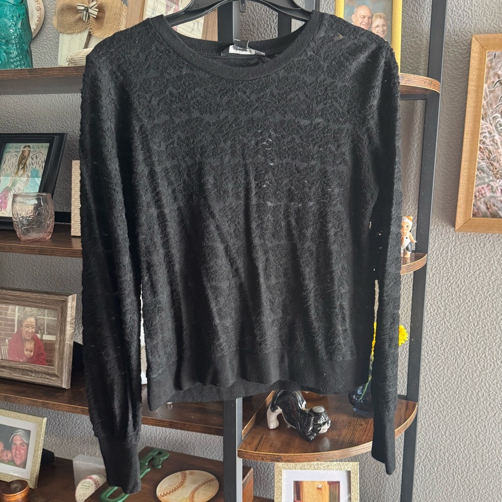 NWT, American Eagle, black lace size Medium top.   Long sleeve, peekaboo lace.